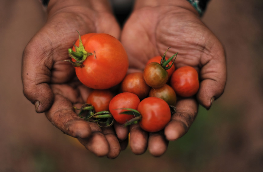 Libera Tu Ser - Artículos Ciencia/Belleza/Salud/Medioambiente: "CONSUMIR ALIMENTOS ECOLÓGICOS"