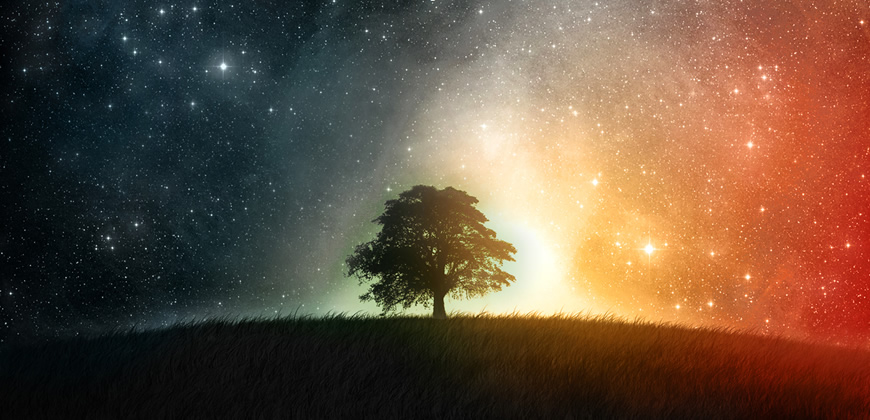 Libera Tu Ser - Artículos Ciencia/Belleza/Salud/Medioambiente: "ALTRUISMO Y EGOISMO"