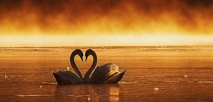 Libera Tu Ser - Artículos Ciencia/Belleza/Salud/Medioambiente: "AMOR Y CELOS: DOS SENTIMIENTOS INCOMPATIBLES"