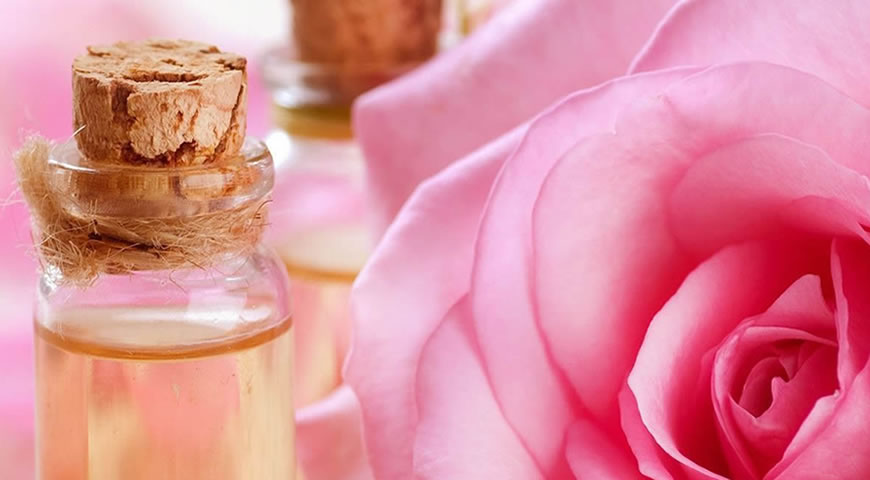 Terapias Alternativas - Tratamiento y Bienestar Corporal y Emocional: "PROPIEDADES DE LOS ACEITES ESENCIALES"