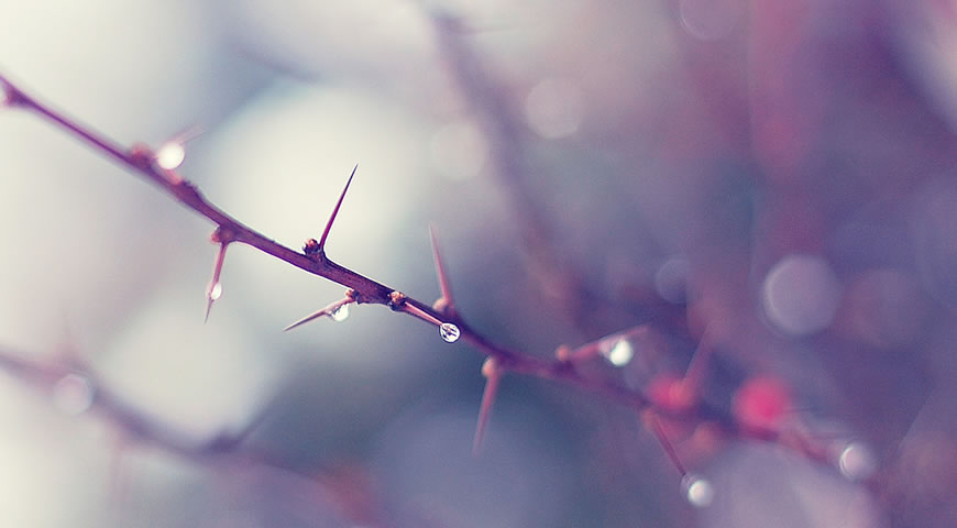 Libera Tu Ser - Reflexiones personales: "CREENCIAS, EXPECTATIVAS Y SUFRIMIENTO"