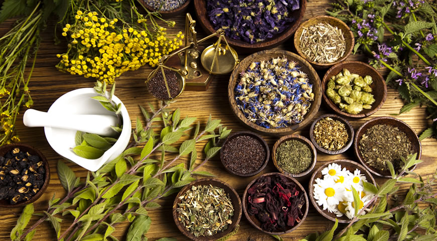 Terapias Alternativas - Tratamiento y Bienestar Corporal y Emocional: "FITOTERAPIA CHINA - LAS HIERBAS MEDICINALES"