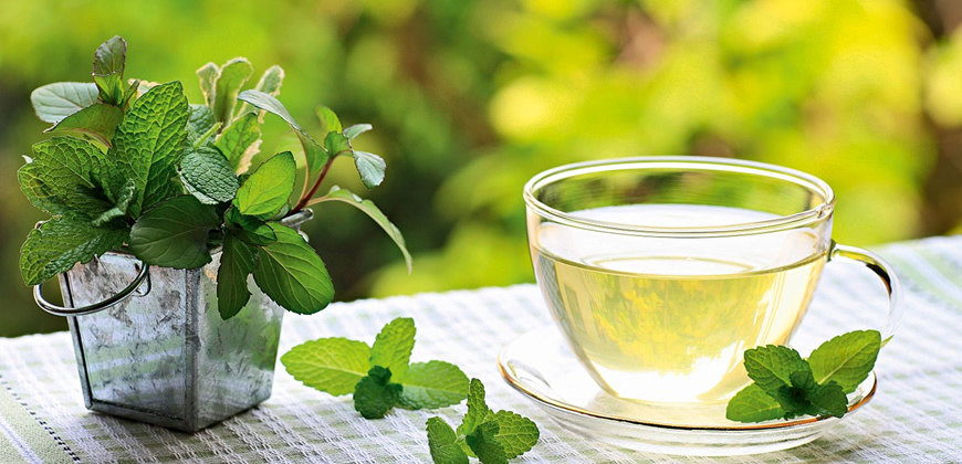 Libera Tu Ser - Artículos Ciencia/Belleza/Salud/Medioambiente: "FITOTERAPIA: Aliada Femenina"