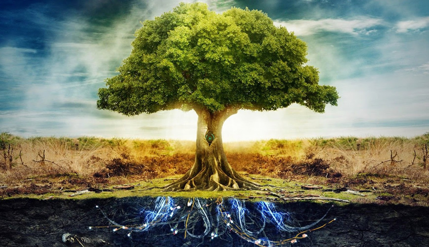 Libera Tu Ser - Artículos Ciencia/Belleza/Salud/Medioambiente: "LA CÁBALA ES UN CONOCIMIENTO PRÁCTICO"