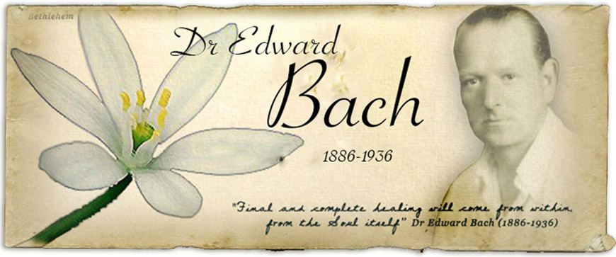 Libera Tu Ser - Artículos Ciencia/Belleza/Salud/Medioambiente: "LAS FLORES DE BACH"