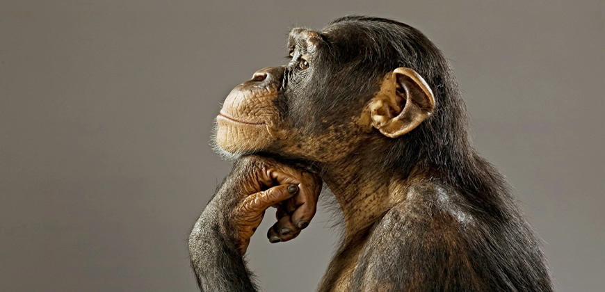 Libera Tu Ser - Artículos Ciencia/Belleza/Salud/Medioambiente: "LO QUE PIENSAS ES LO QUE ATRAES"