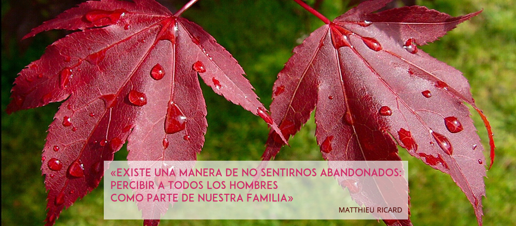 Matthieu Ricard