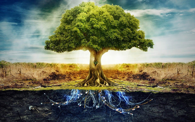 Terapias Alternativas - Para el Desarrollo Personal: "Numerología y Kabbalah - Personalidad"
