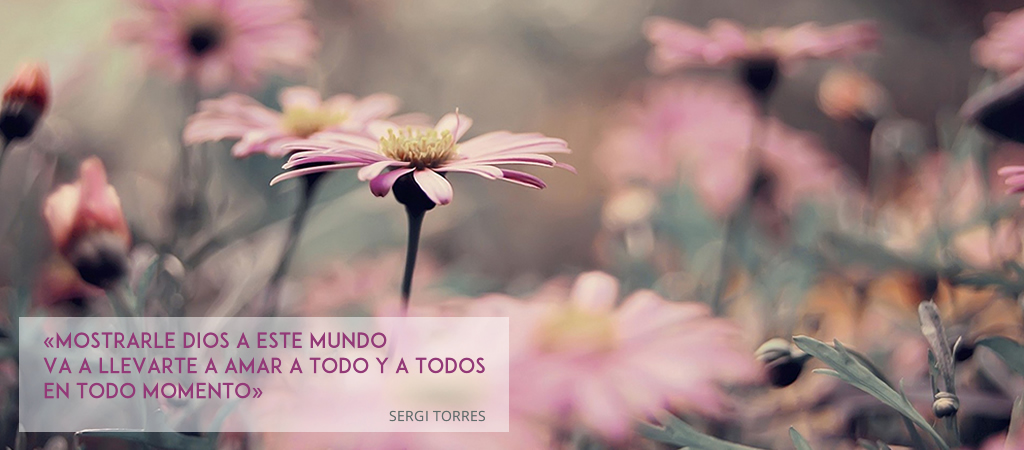 Sergi Torres