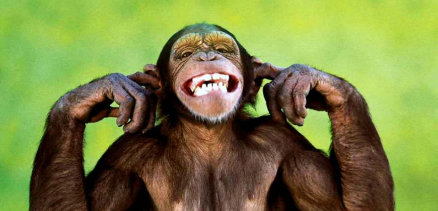 Libera Tu Ser - Kenneth Wapnick "EL SIGNIFICADO DEL HUMOR"