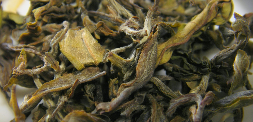 Libera Tu Ser - Artículos Ciencia/Belleza/Salud/Medioambiente: "TÉ BLANCO"