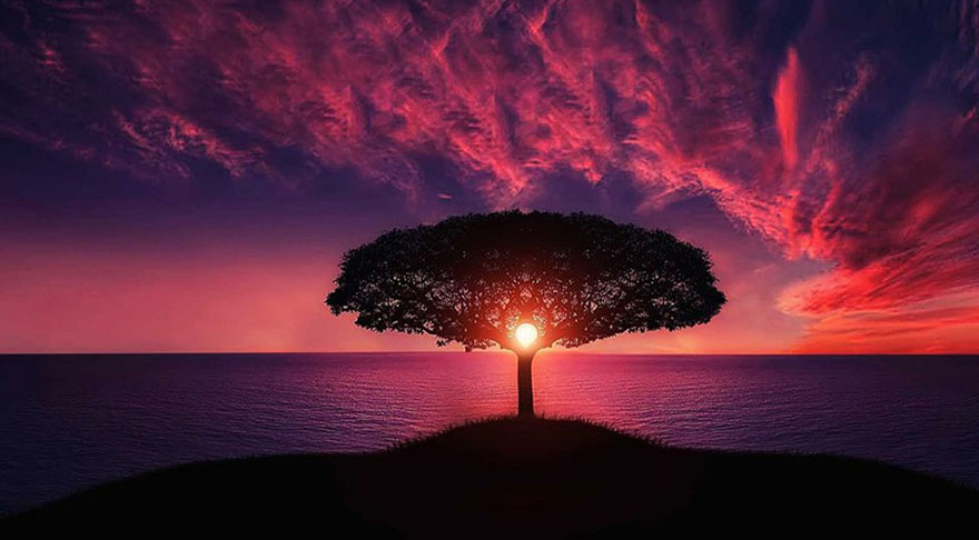 METAMEDICINA: TRANSFORMANDO PROFUNDAMENTE TU VIDA Libera Tu Ser - Artículos Ciencia/Belleza/Salud/Medioambiente: "METAMEDICINA: TRANSFORMANDO PROFUNDAMENTE TU VIDA"
